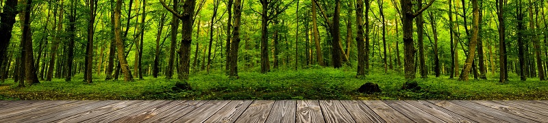 panorama z drewnianego tarasu