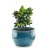 Donica ceramiczna 75.422.28 | Glazed Round-pot 28 x 16 cm Turkus