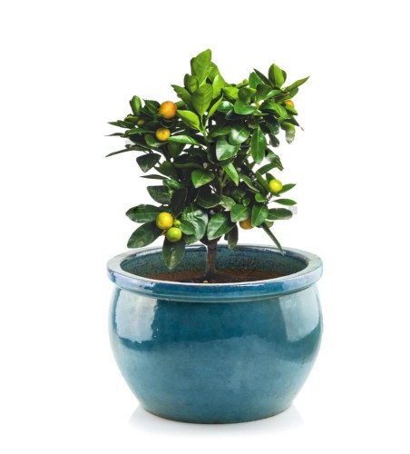 Donica ceramiczna 75.422.38 | Glazed Round-pot 38 x 25 cm Turkus