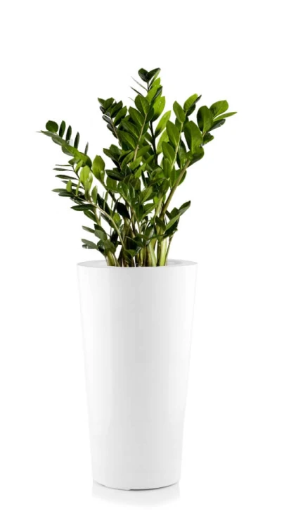 Donica Fiberglass 44 x 92 cm 95.025.92