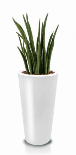 Donica Fiberglass 38 x 72 cm 95.025.72