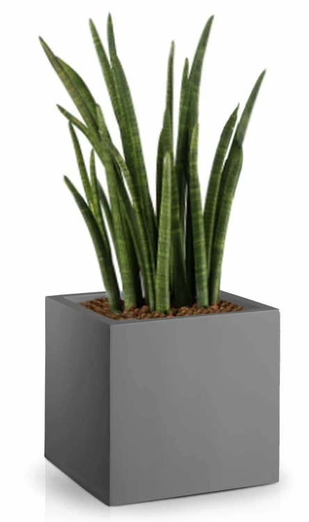 Donica Fiberglass 25 x 25 cm 95.019.25