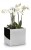 Donica Mirror 25 x 25 cm 74.103.25