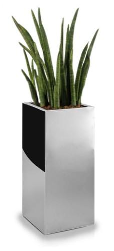 Donica Mirror 30 x 80 cm 74.102.80