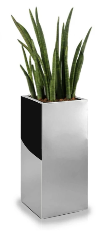 Donica Mirror 30 x 80 cm 74.102.80
