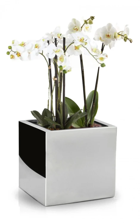 Donica Mirror 50 x 50 cm 74.103.50