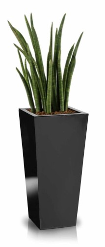 Donica Fiberglass 30 x 67 cm 95.008.67
