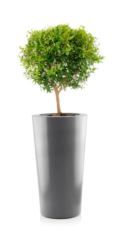 Donica Fiberglass 33 x 62 cm 95.027.62