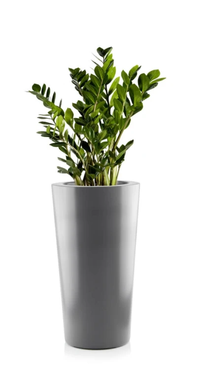 Donica Fiberglass 33 x 62 cm 95.027.62