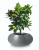 Donica Fiberglass 72 x 36 cm 95.030.72