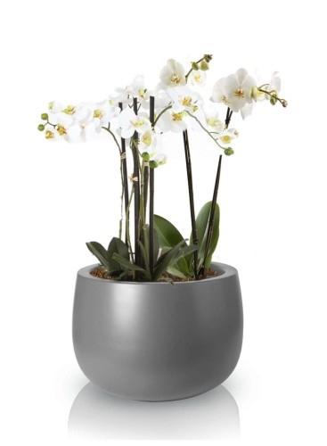 Donica Fiberglass 45 x 32 cm 95.023.45