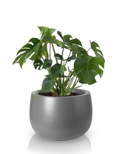 Donica Fiberglass 66 x 44 cm 95.023.66