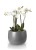 Donica Fiberglass 66 x 44 cm 95.023.66