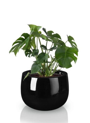 Donica Fiberglass 66 x 44 cm 95.014.66