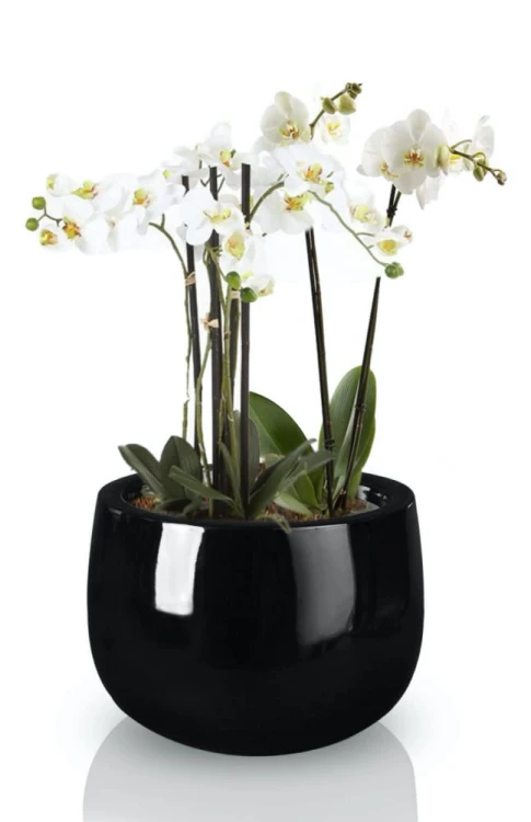 Donica Fiberglass 45 x 32 cm 95.014.45