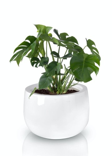 Donica Fiberglass 66 x 44 cm 95.013.66