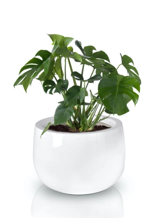 Donica Fiberglass 66 x 44 cm 95.013.66