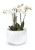 Donica Fiberglass 66 x 44 cm 95.013.66