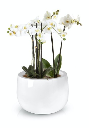 Donica Fiberglass 45 x 32 cm 95.013.45