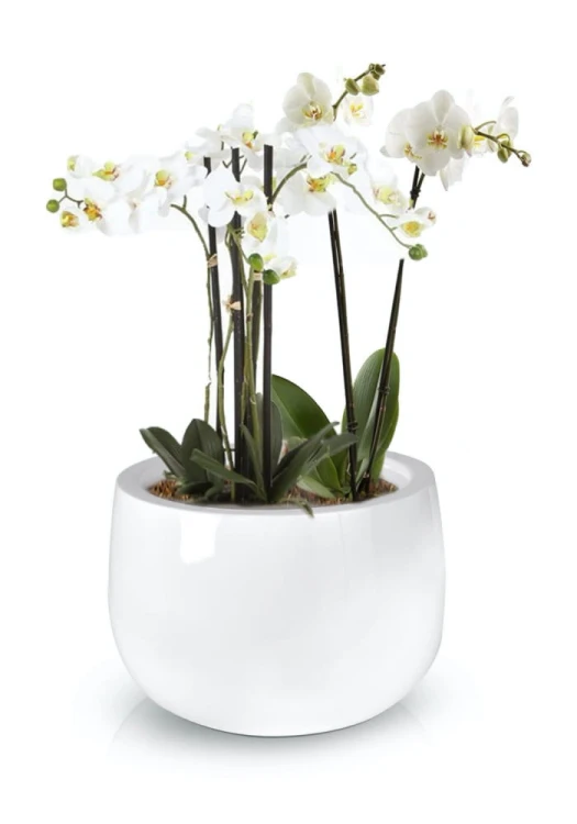 Donica Fiberglass 34 x 23 cm 95.013.34
