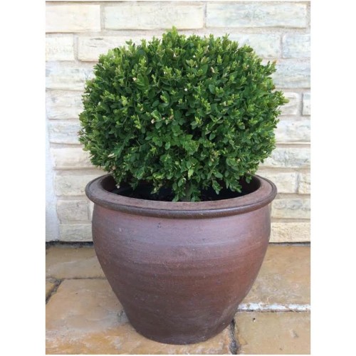 Donica ceramiczna 75.026.24 | DB Thai 24 cm