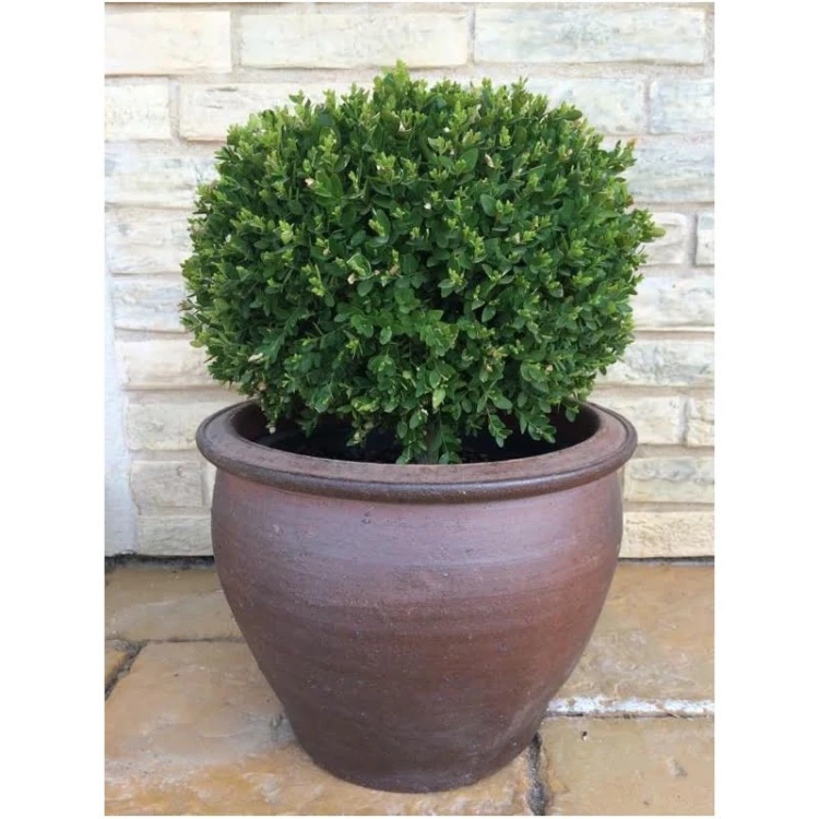 Donica ceramiczna 75.026.24 | DB Thai 24 cm