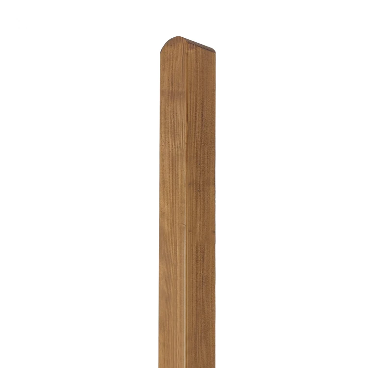 pxl_20240223_080654346.jpg.png