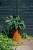 thumbnail_dsc_1718-scaled.jpg