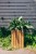 thumbnail_dsc_1756-scaled.jpg