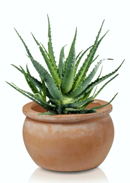 Donica ceramiczna 75.207.38 | Tus Round-pot 38 x 25 cm