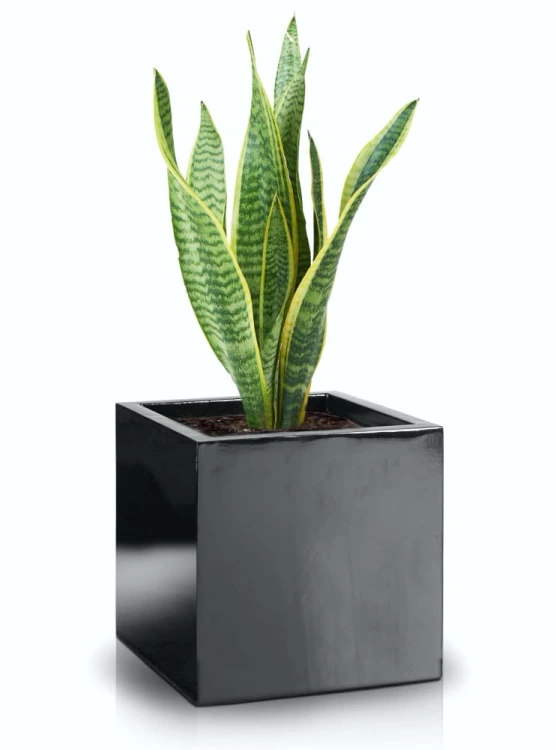 Donica Fiberglass 50 x 50 cm 95.006.50